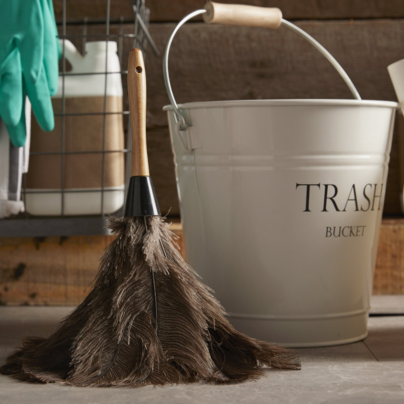 Unisan Professional Ostrich Feather Duster & Reviews Wayfair